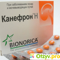 Гомеопатия Bionorica КАНЕФРОН Н (CANEPHRON N) отзывы