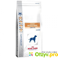 Сухой корм для собак Royal Canin Gastro Intestinal Low Fat отзывы