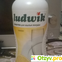 LudwiR - средство длямытья посуды отзывы