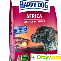 Happy dog africa отзывы