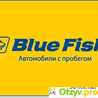 Рольф bluefish отзывы