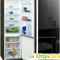 Двухкамерный холодильник Daewoo Electronics RN-T 425 NPB отзывы