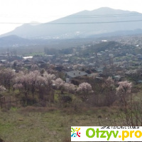 Село Дачное в Судаке, Крым отзывы