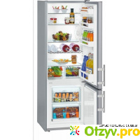 Двухкамерный холодильник Liebherr CUsl 2811 отзывы