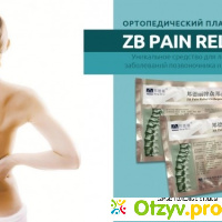 Zb pain relief orthopedic plaster отзывы отзывы