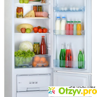 Двухкамерный холодильник Позис RK-103 белый отзывы