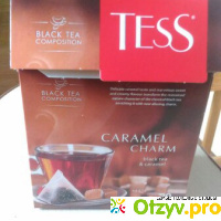 Чай TESS CARAMEL CHARM отзывы