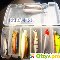 Магазин рыболовных товаров Kaida-Fish (Россия) отзывы
