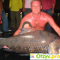 Рыбалка в тайланде отзывы