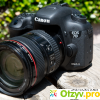 Canon 7D (EOS) отзывы