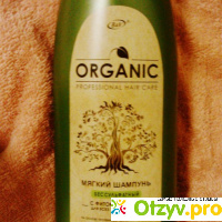 Шампунь Белита-Витэкс Professional Organic Hair Care отзывы