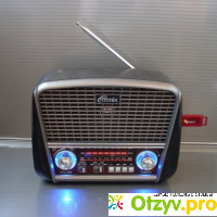 FM радиоприемник Ritmix RPR-065 отзывы