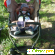 Прогулочная коляска Camarelo EOS - Детские коляски - Фото 23252