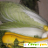 Семена капуста пекинская Ника F1 - Семена - Фото 36725