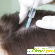 Мезотерапия для волос - Разное (косметические процедуры) - Фото 69708