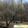 Тимирязевский парк - Парки культуры и отдыха - Фото 85861