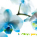 Голубая орхидея - Разное (животные и растения) - Фото 85792