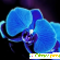 Голубая орхидея - Разное (животные и растения) - Фото 85791