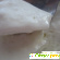 Каша Сваля молочная рисовая с ванилью - Разное (продукты питания) - Фото 92672