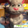 Говорящий кот игрушка - Развивающие игры - Фото 102866