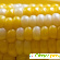 Как заморозить кукурузу - Овощи замороженные - Фото 100401