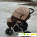 Капелла с 901 - Детские коляски - Фото 111276