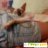 Ориентальная кошка фото - Кошки - Фото 96161