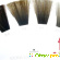 Оттеночный мусс для волос Schwarzkopf Igora Expert Mousse - Краска для волос - Фото 121631
