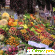Набор овощей и фруктов -  - Фото 228159