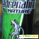 Энергетический напиток Adrenaline Nature -  - Фото 192080