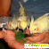 Попугай корелла фото -  - Фото 212678