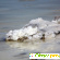 Соленое озеро в оренбурге -  - Фото 243455