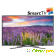 Samsung UE32K5500BUX телевизор -  - Фото 329744
