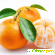 Апельсин: калорийность, полезны свойства и вред -  - Фото 355347