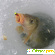 Активатор клева fish xxl для зимней рыбалки -  - Фото 346109