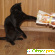 Молина Жевательные колбаски д/кошек - Корм для животных - Фото 444103