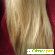 масло для волос Oblepikha Siberica -  - Фото 443980