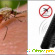 Insector - ультразвуковой отпугиватель комаров -  - Фото 468440