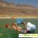 Отдых на мертвом море отзывы туристов -  - Фото 501886