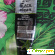 Маска-пленка Bielita-Вiтэкс Black Clean с бамбуковым углем -  - Фото 506835