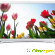 Samsung UE22H5610AK, White телевизор -  - Фото 510019