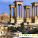 Пальмира -  - Фото 541292