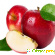 Диета трех продуктов: овсянка, яблоки, творог -  - Фото 545051