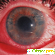 Тобрекс глазные капли цена отзывы -  - Фото 572146