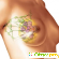 Мастодинон отзывы женщин при мастопатии таблетки форум -  - Фото 584459