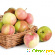 Кефирно яблочная диета на 9 дней отзывы -  - Фото 580256