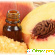 Персиковое масло для лица от морщин отзывы -  - Фото 662007