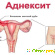Аднексит: симптомы и лечение аднексита у женщин -  - Фото 679364