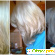 Шампунь-нейтрализатор желтизны Estel Prima Blonde Серебристый, для холодных оттенков блонд -  - Фото 680646