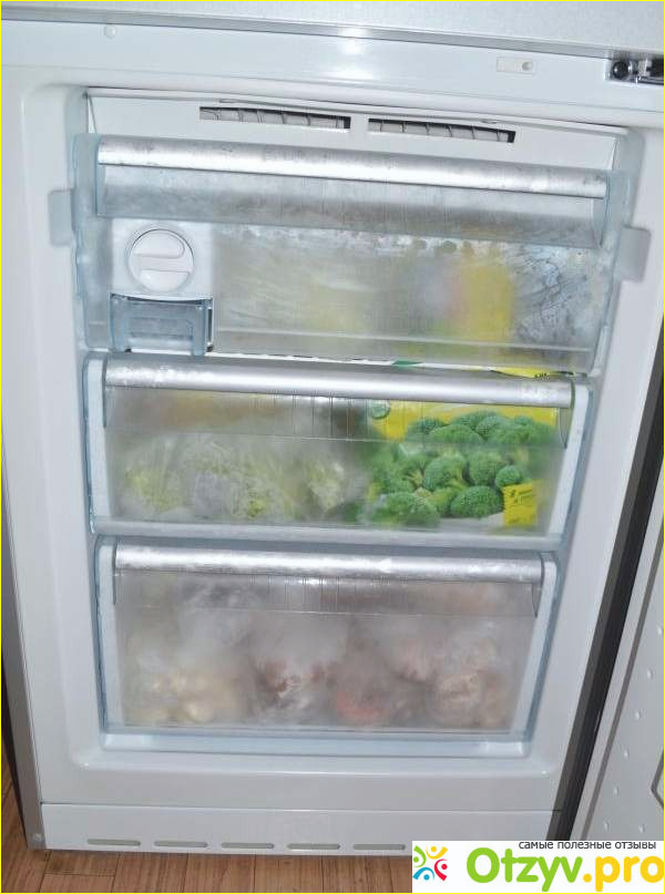 Двухкамерный холодильник Bosch KGN 36 S 51 фото1